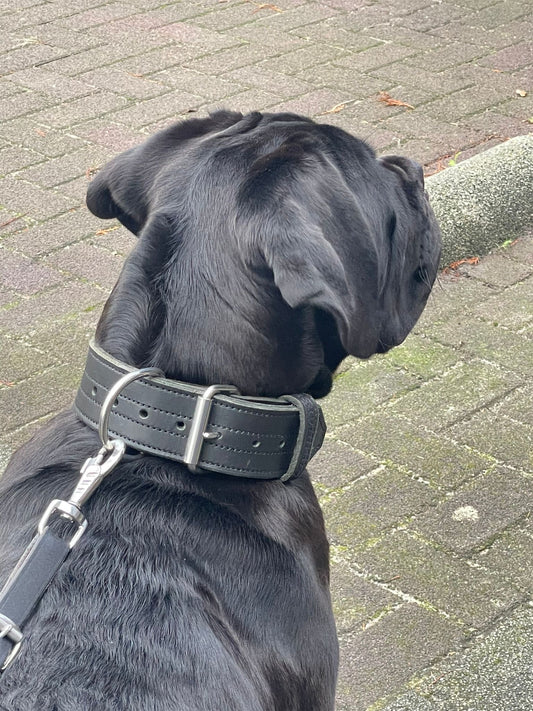 Zwart leder halsband 5cm